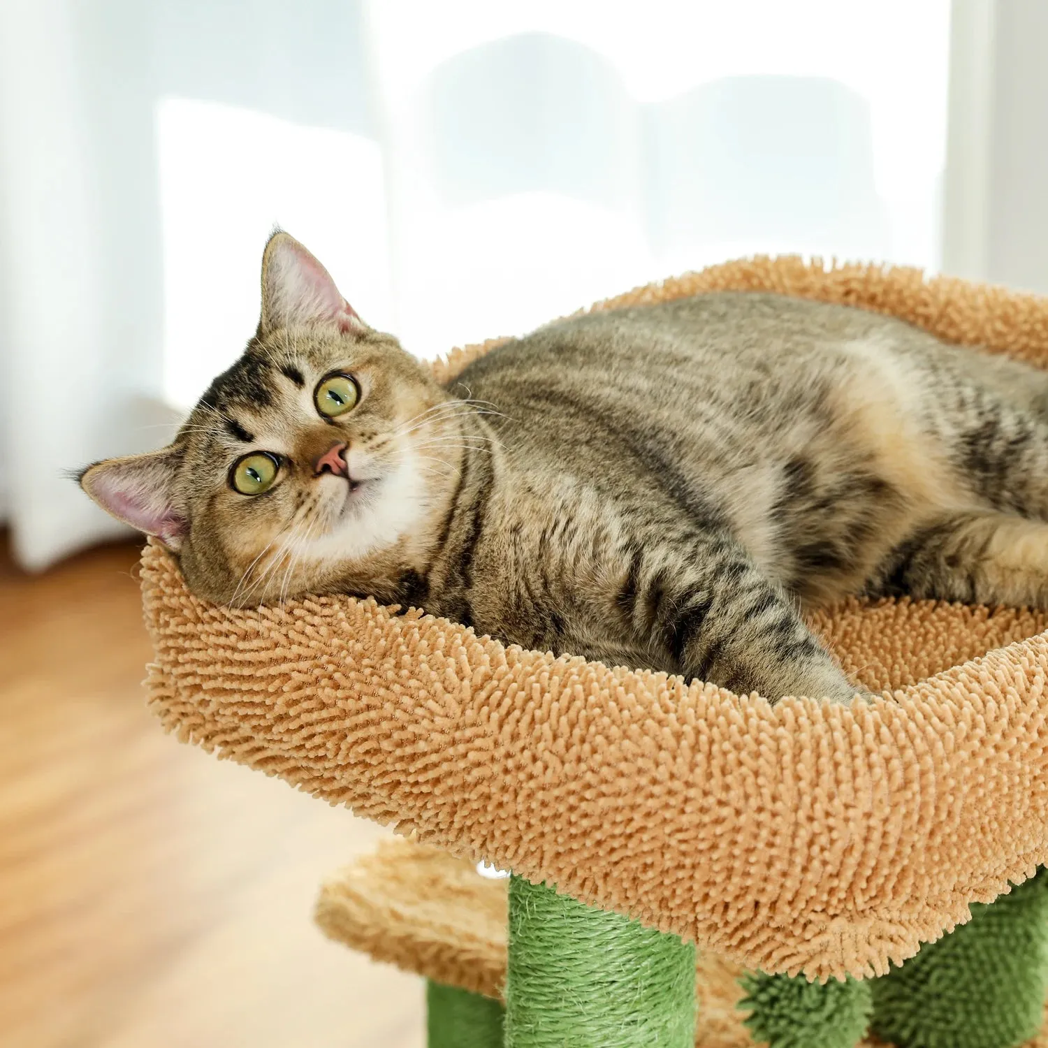 35.5" Cactus Cat Tree Tower with Scratching Posts, Pet Scratcher, 3-Tier Cat House Furniture