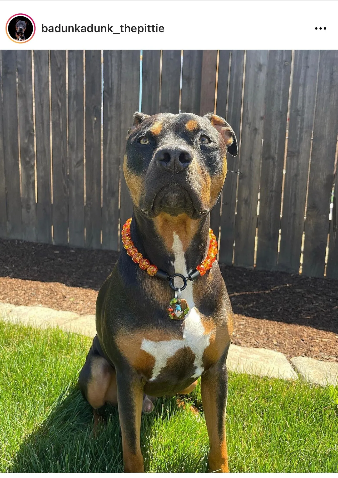 Amber Empress Resin Bead Collar