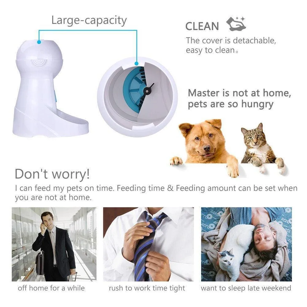 Automatic Camera Record and Voice Support Cat Feeder