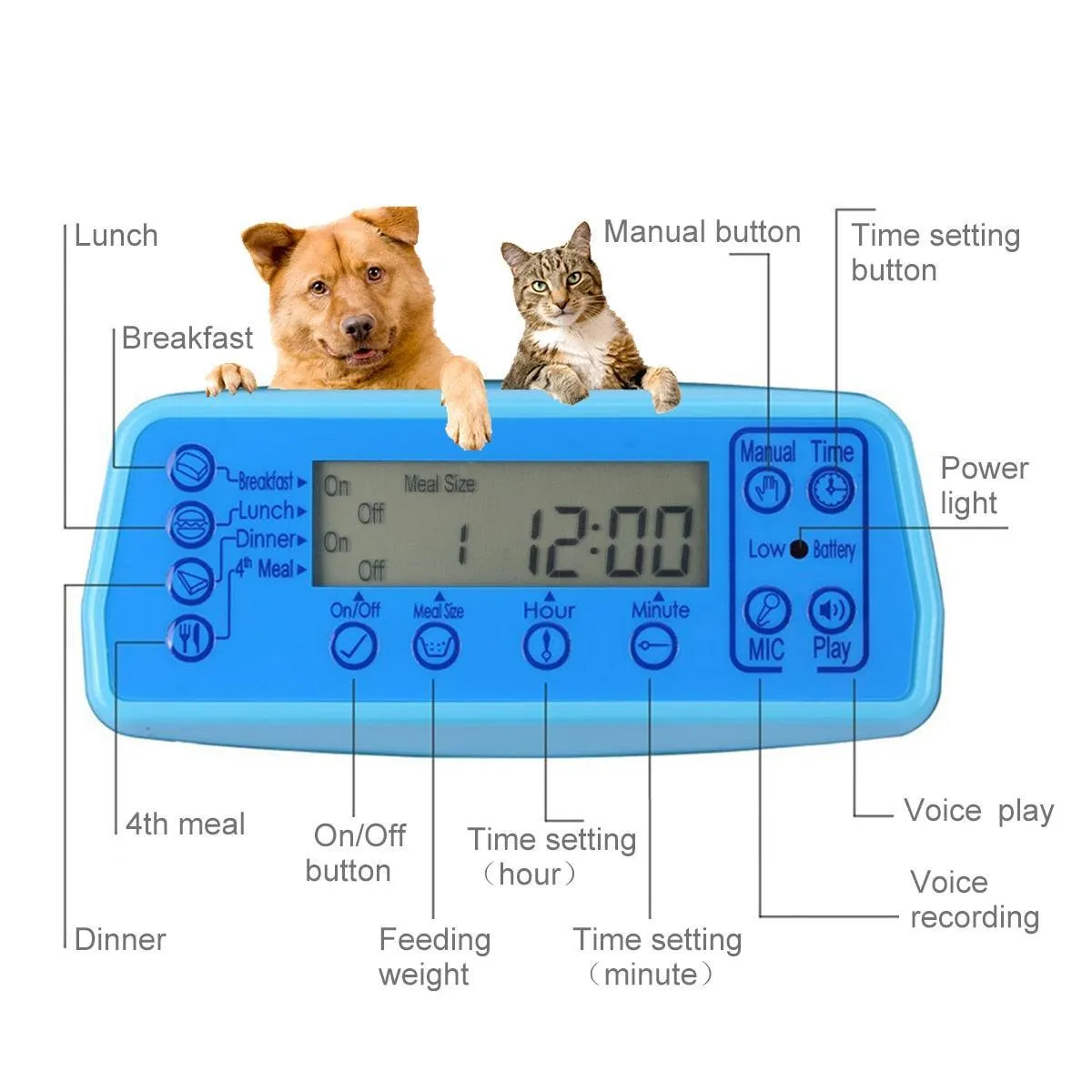 Automatic Camera Record and Voice Support Cat Feeder