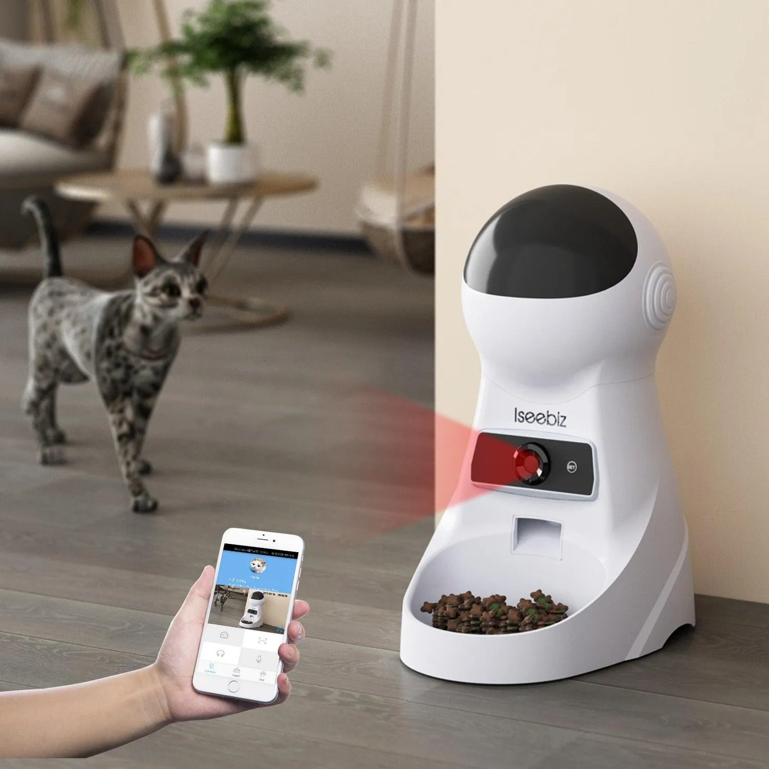 Automatic Camera Record and Voice Support Cat Feeder