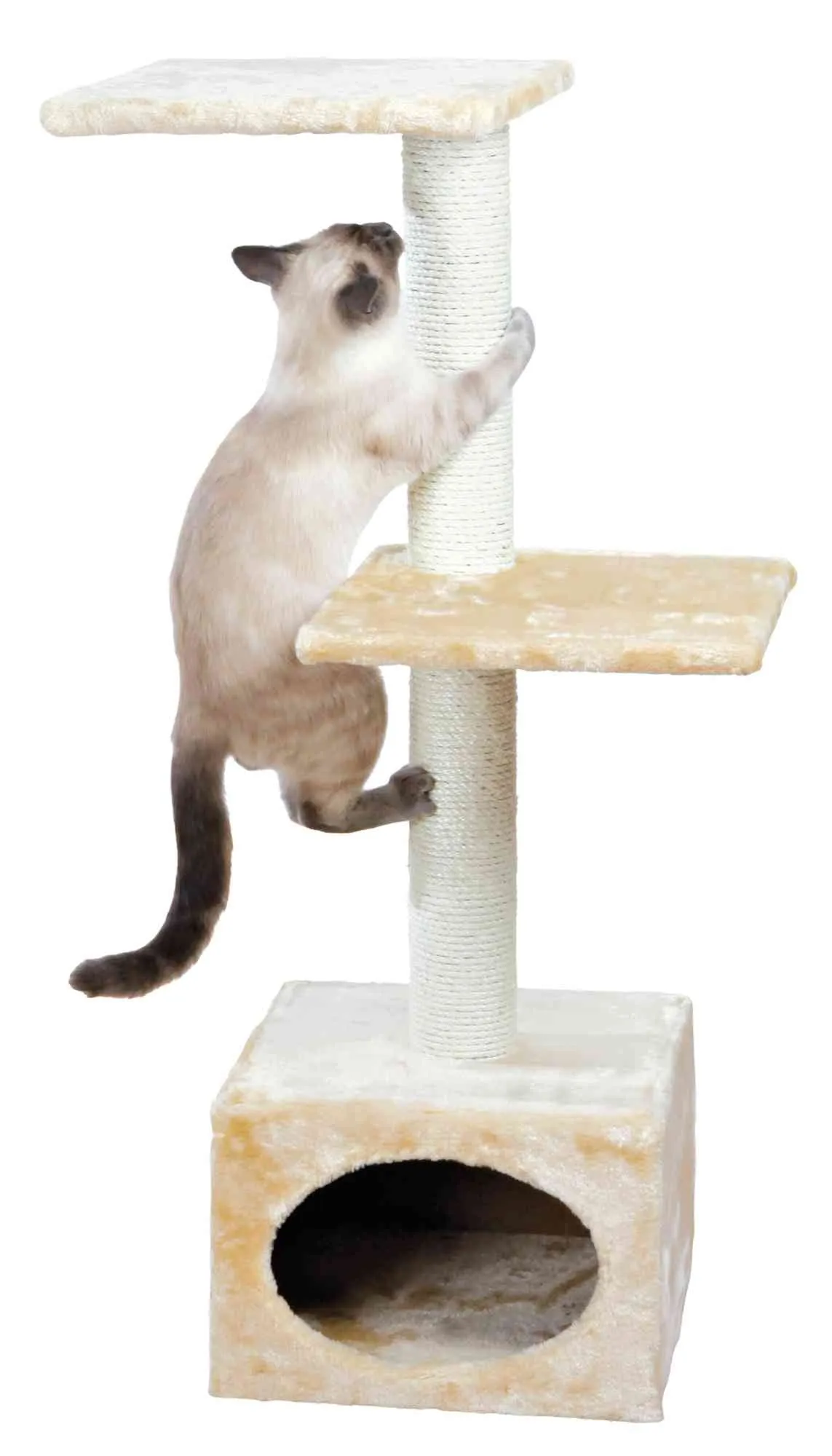 Badalona Scratching Post