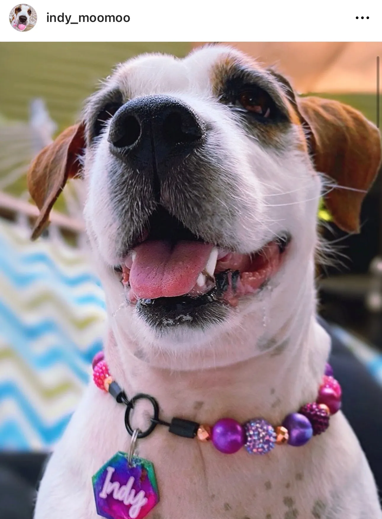 Berry Deluxe Glam ✨  Bead Collar