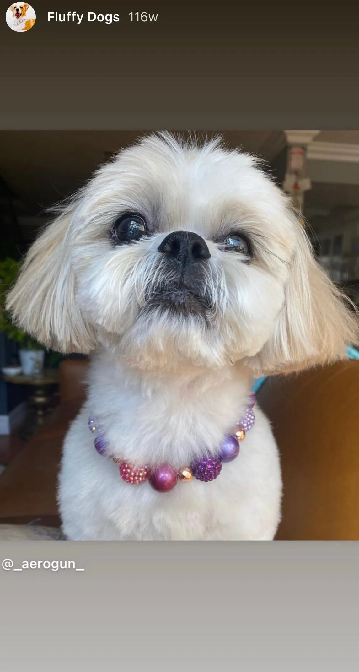 Berry Deluxe Glam ✨  Bead Collar