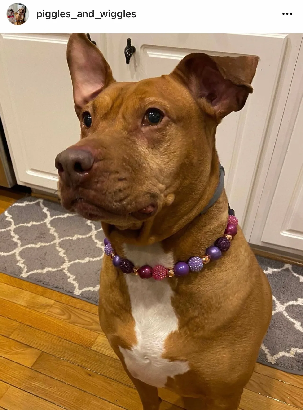 Berry Deluxe Glam ✨  Bead Collar