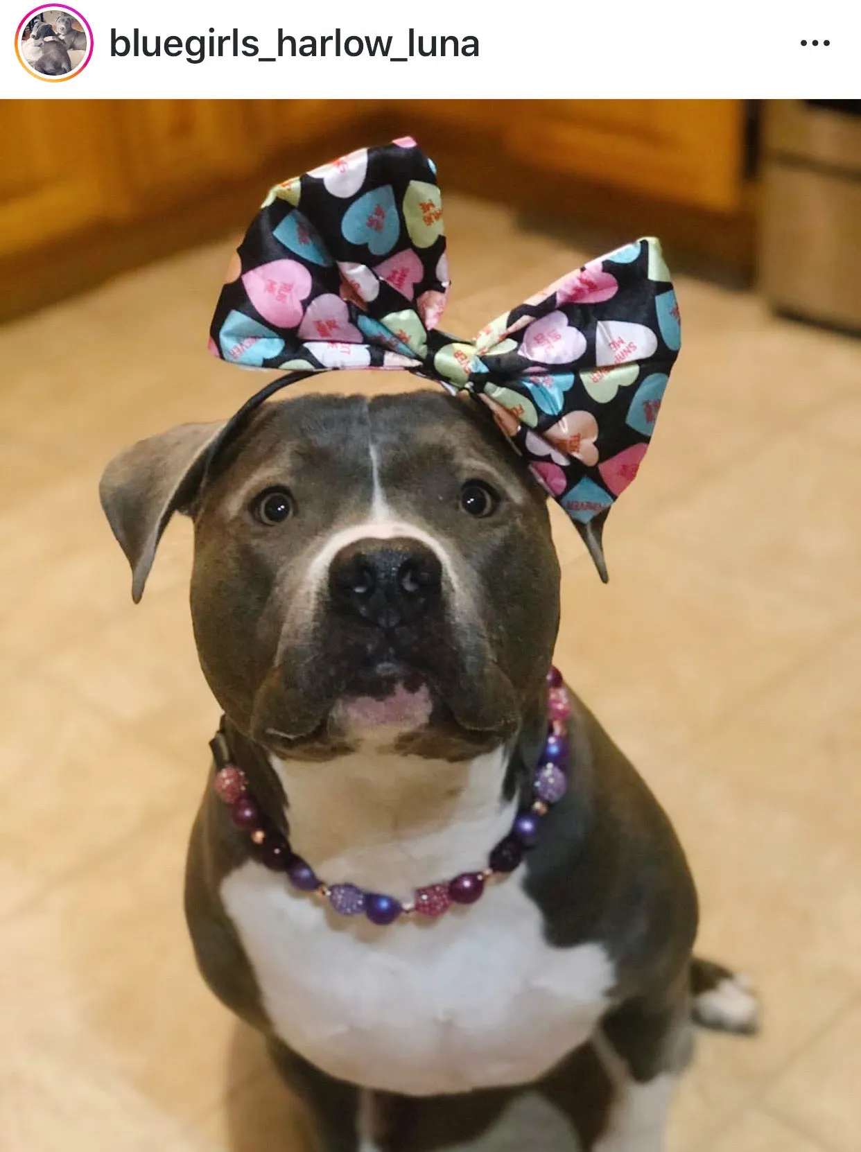 Berry Deluxe Glam ✨  Bead Collar