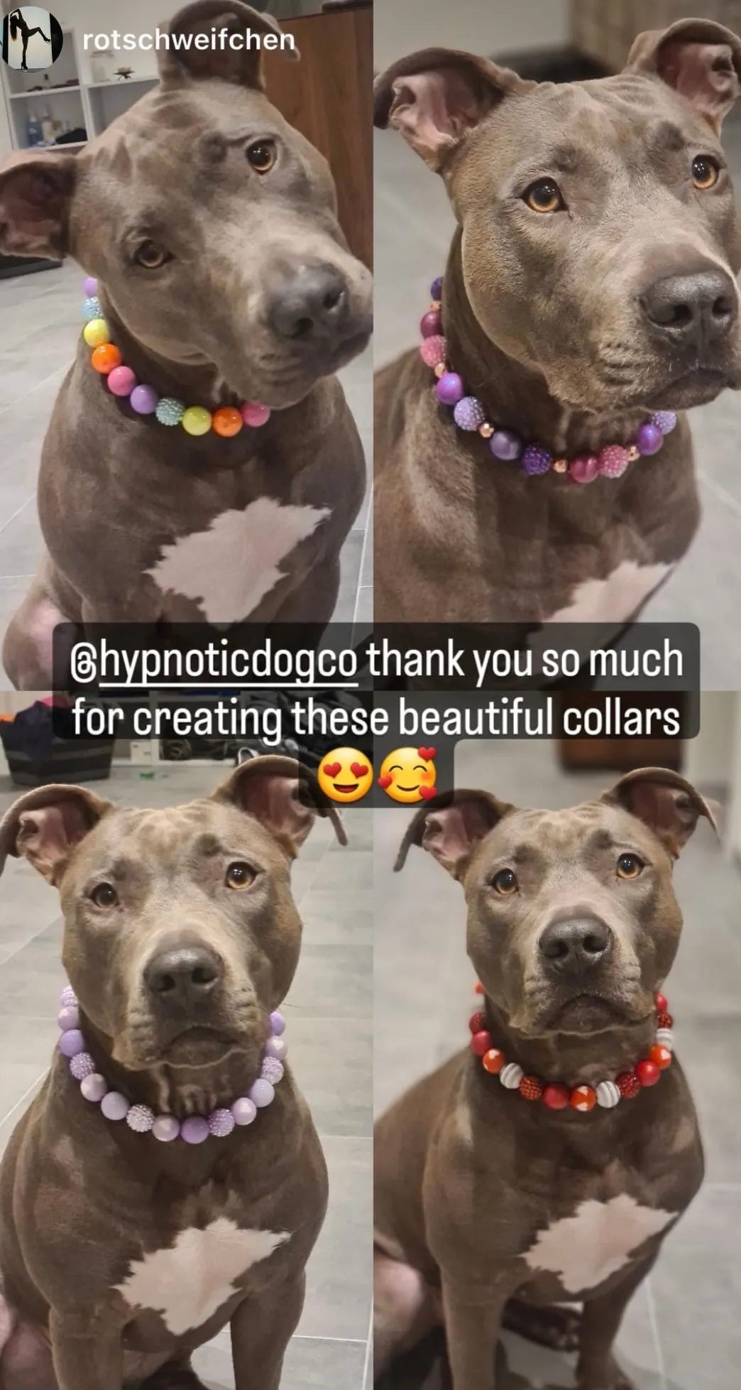 Berry Deluxe Glam ✨  Bead Collar