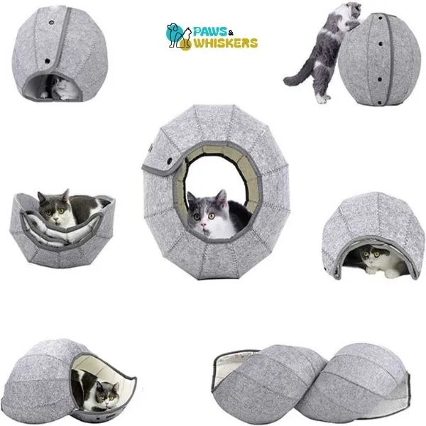 Cat Multi Shape Tunnel