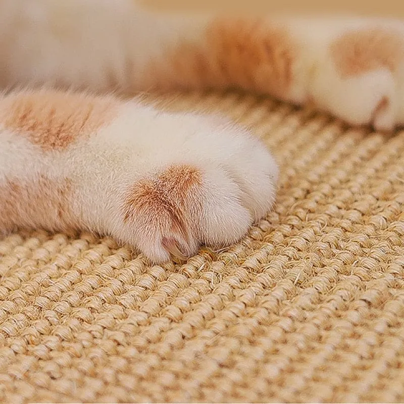 Cat Scratcher Sisal Mat Board
