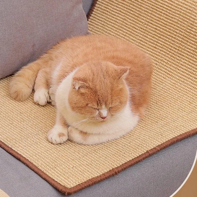 Cat Scratcher Sisal Mat Board