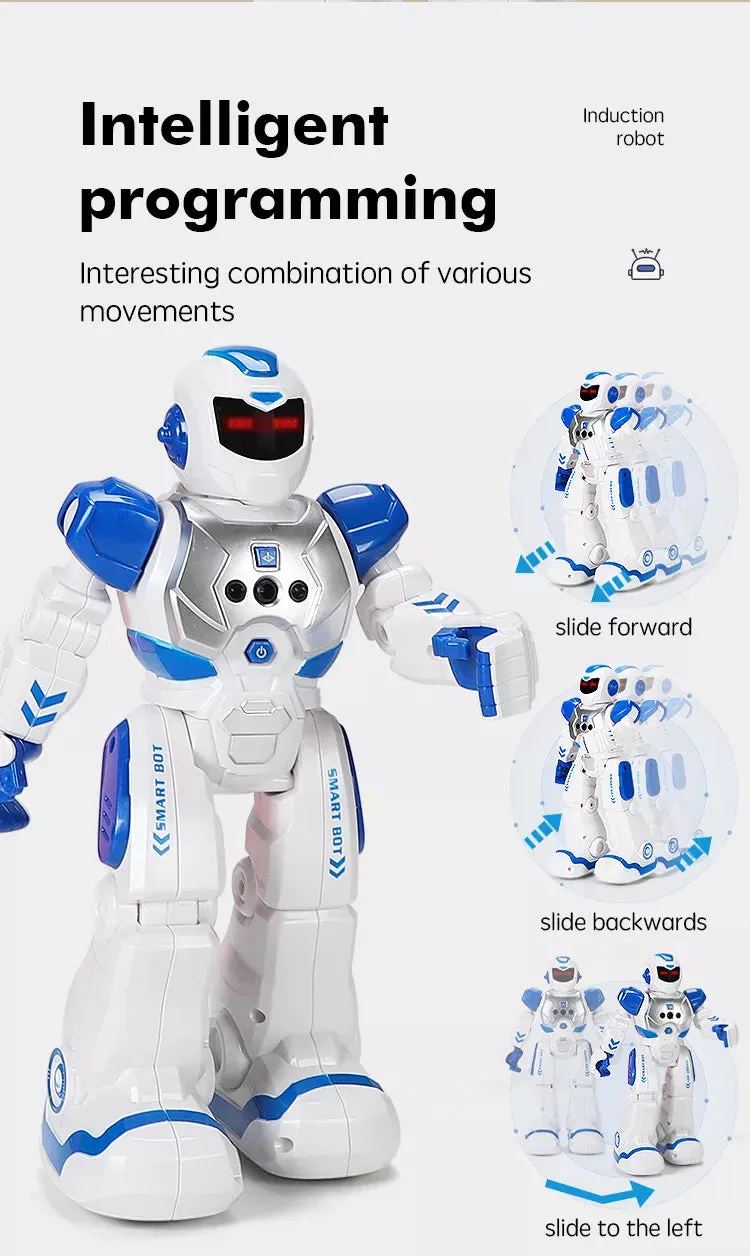DH220420-1 Intelligent Interactive Smart Toys robots