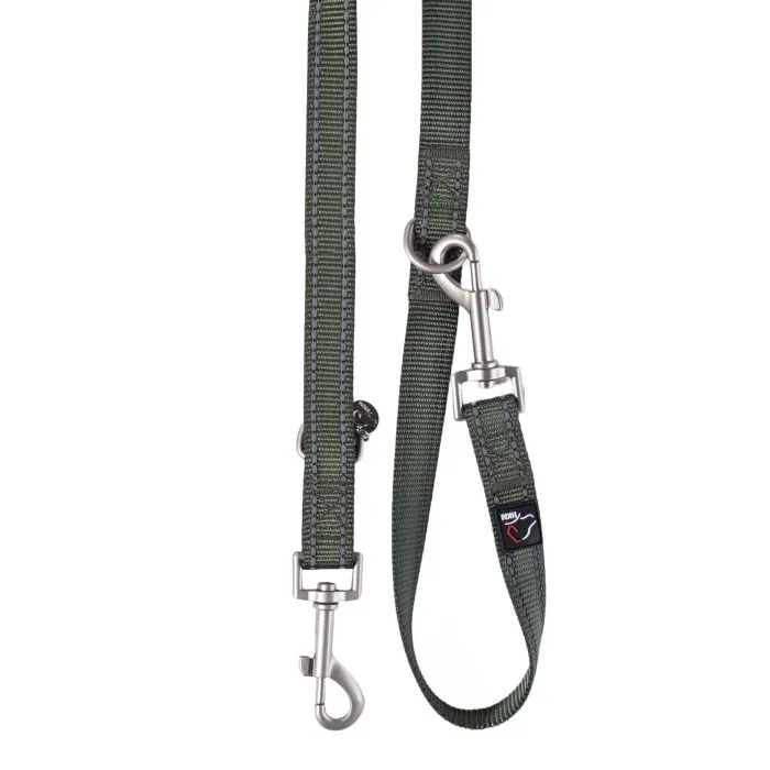 Dog Training Leash Anam Cara
