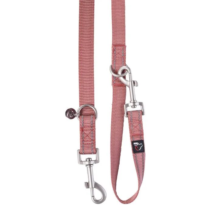 Dog Training Leash Anam Cara