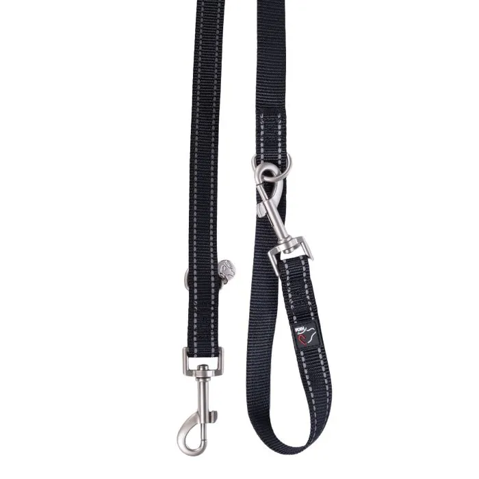 Dog Training Leash Anam Cara