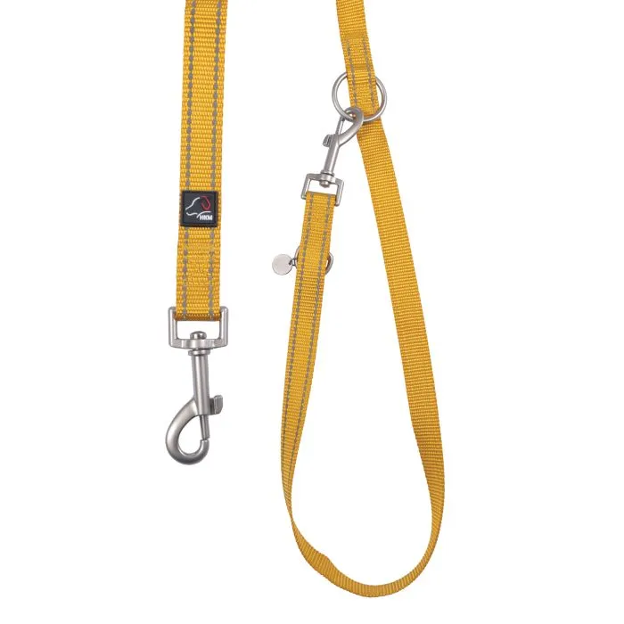 Dog Training Leash Anam Cara