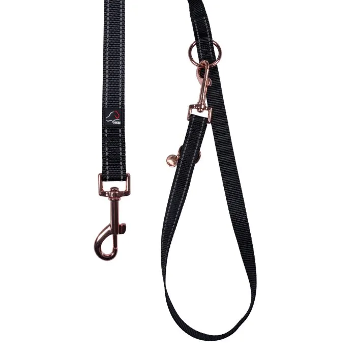 Dog Training Leash Anam Cara