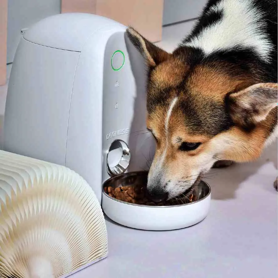 Dogness Mini 2L Feeder