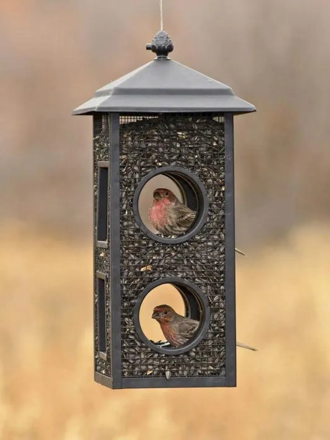 Fly Through Metal Feeder - 2 lb