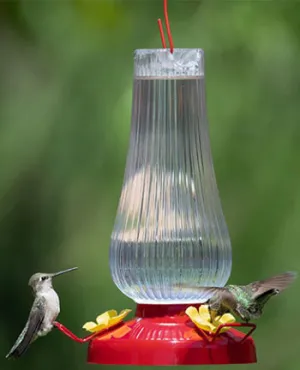 HUMMINGBIRD FEEDER 20 OZ FLUTED OIL LAMP