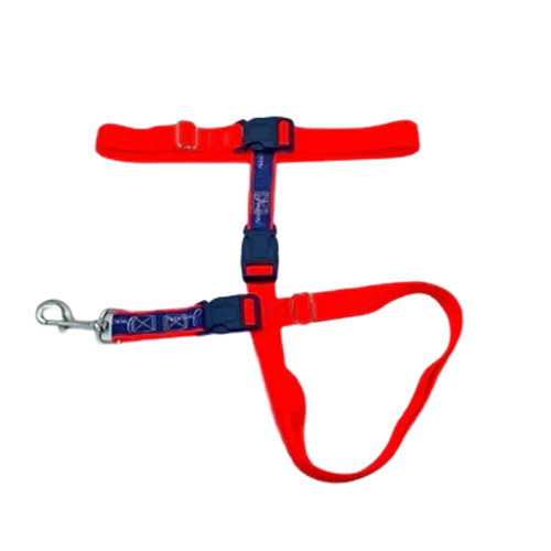 Jwalker Utility Belt - Orange