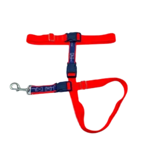 Jwalker Utility Belt - Orange