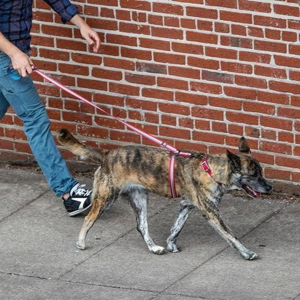 Kurgo Walk About No Pull Leash