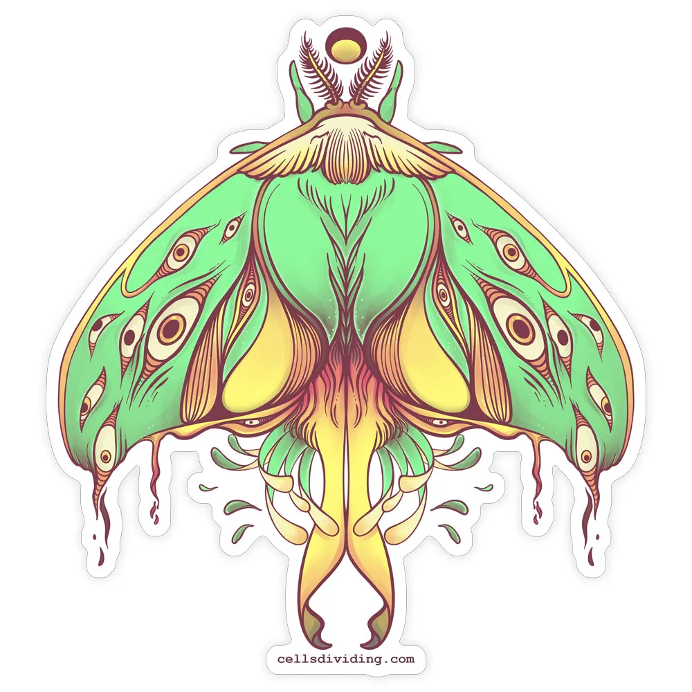 Luna Moth, Vinyl Sticker