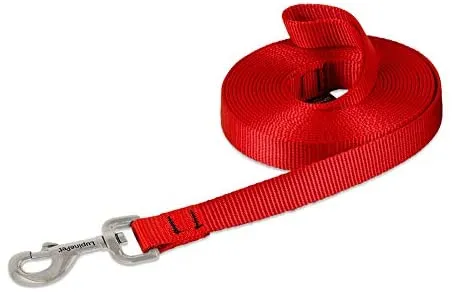 Lupine Pet Dog Long Recall Training Lead
