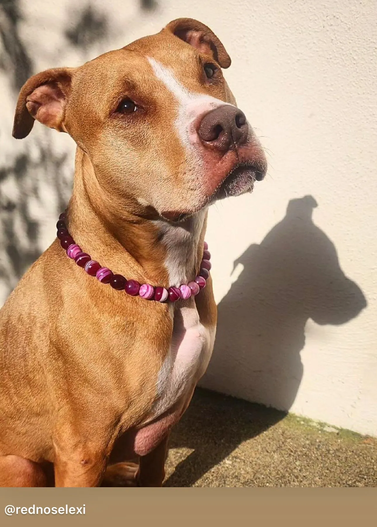 Magenta Agate Semi-precious Gem Bead Collar