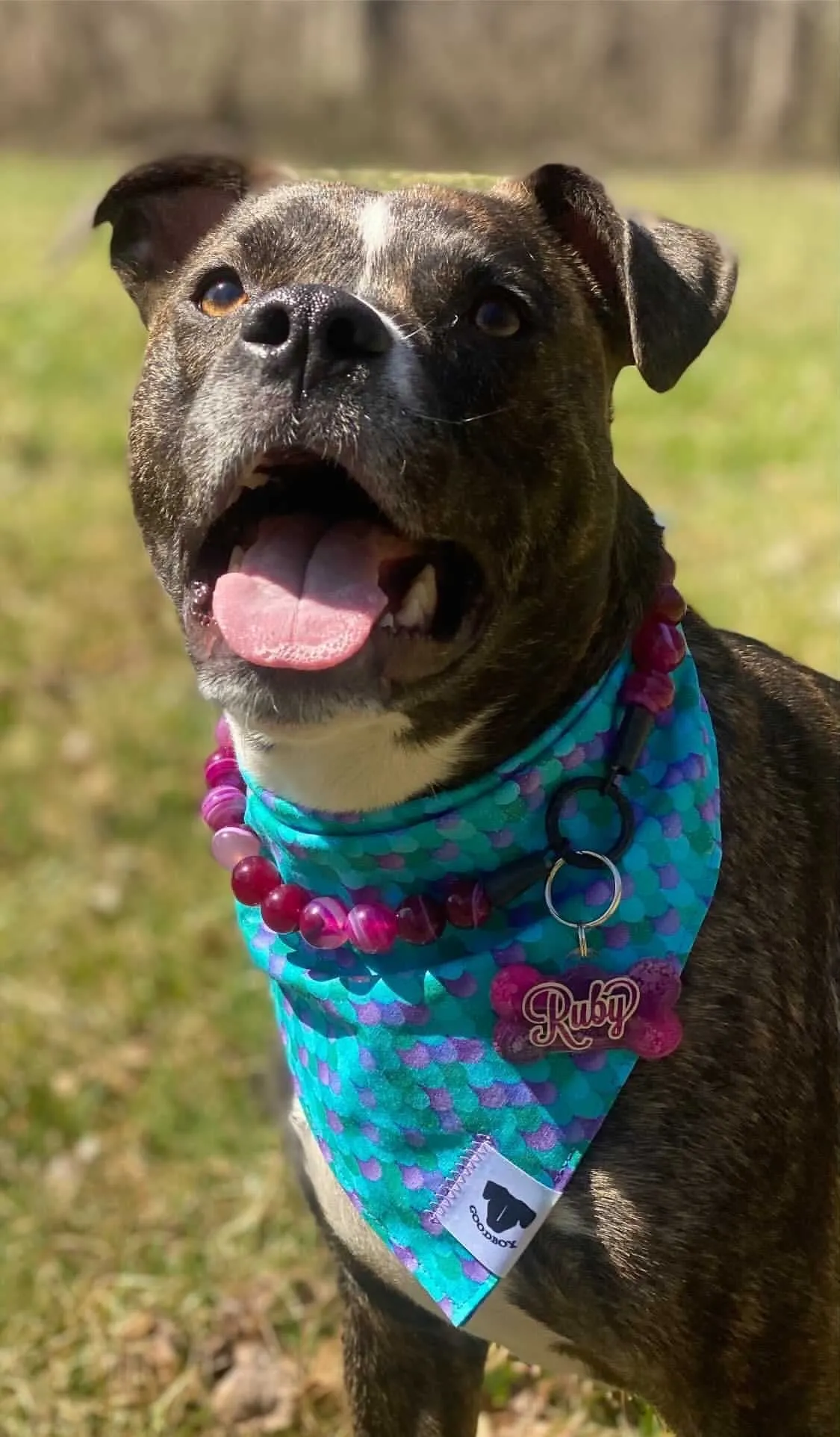 Magenta Agate Semi-precious Gem Bead Collar