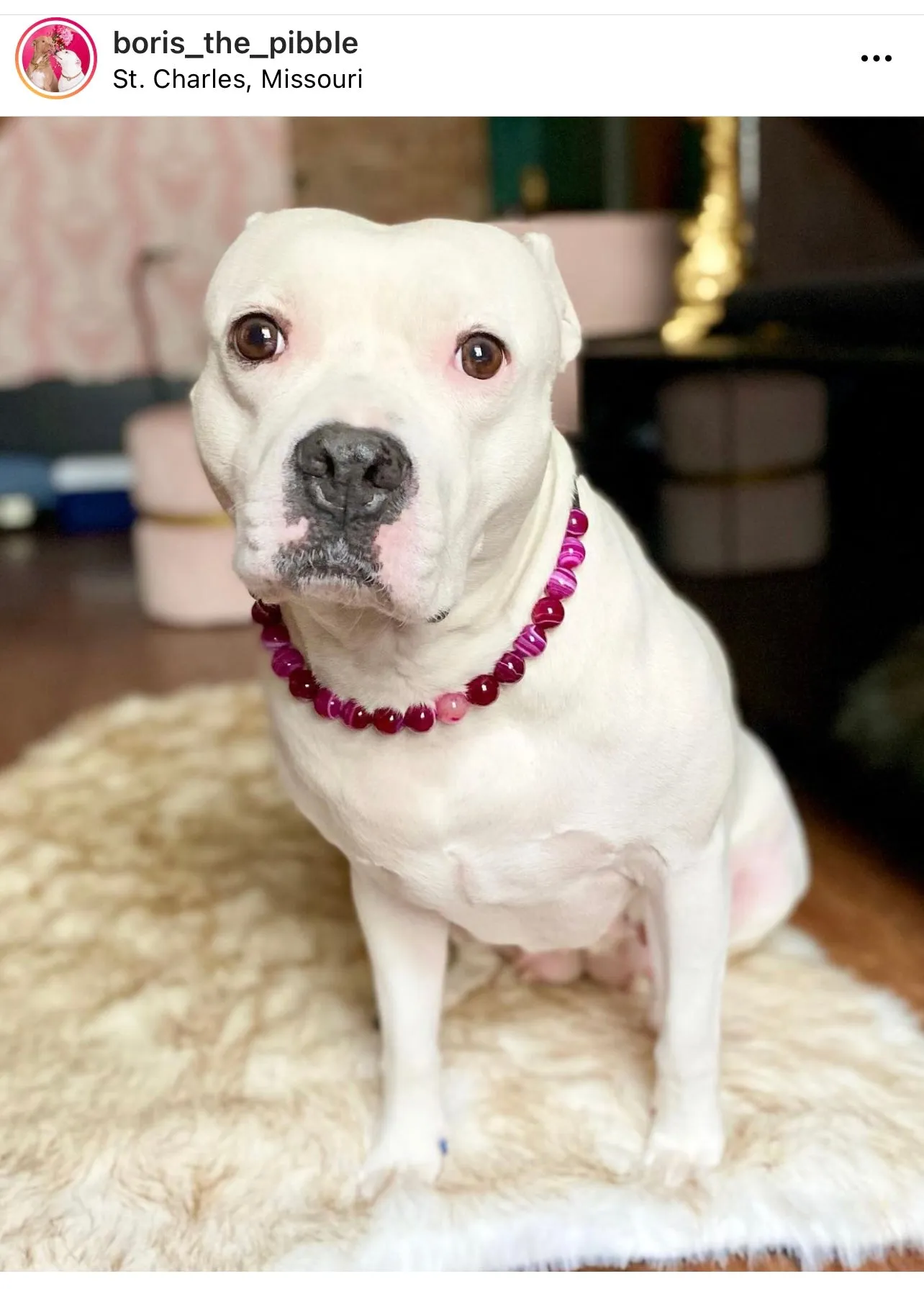 Magenta Agate Semi-precious Gem Bead Collar