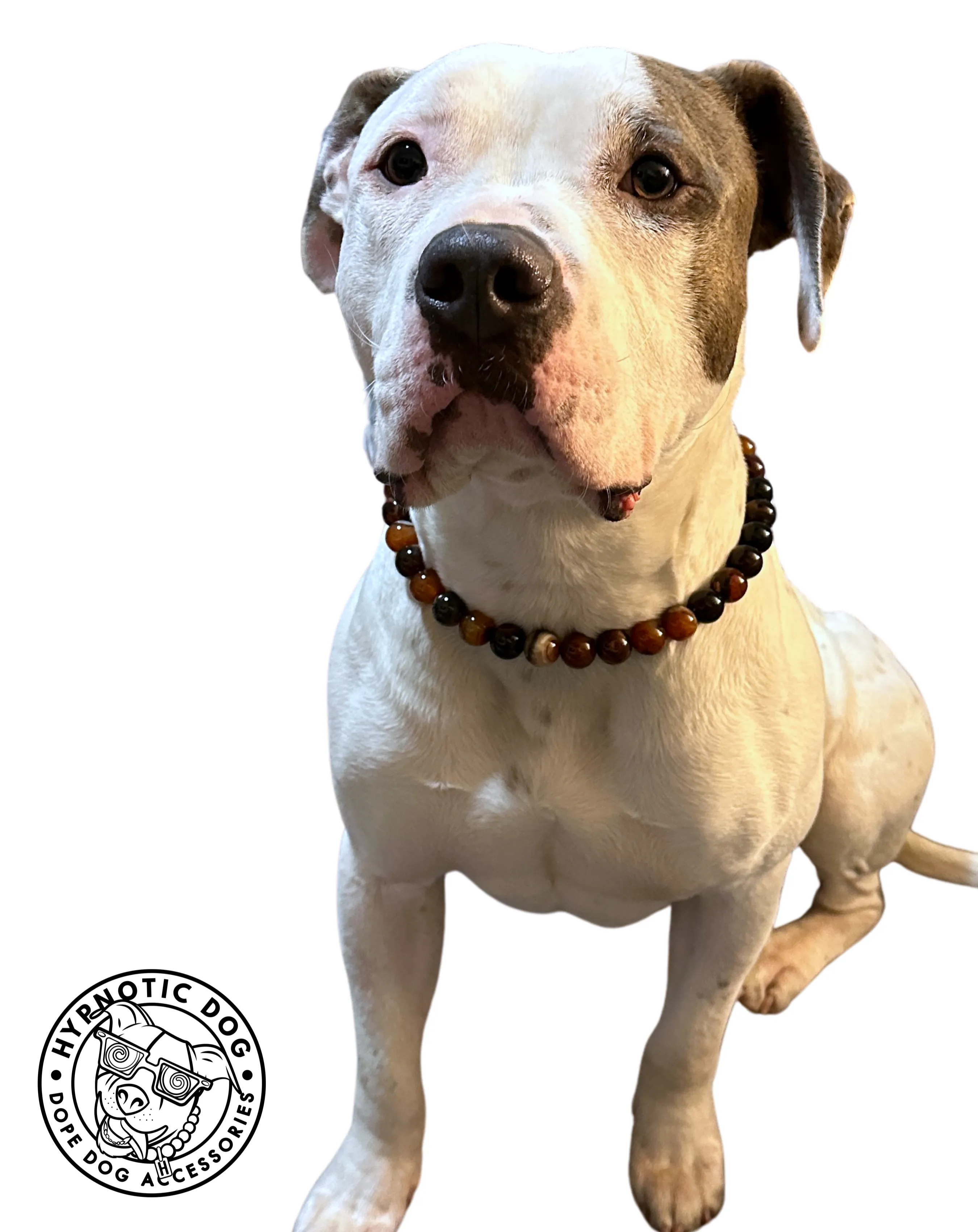 Mahogany Agate Semi-precious Gem Bead Collar