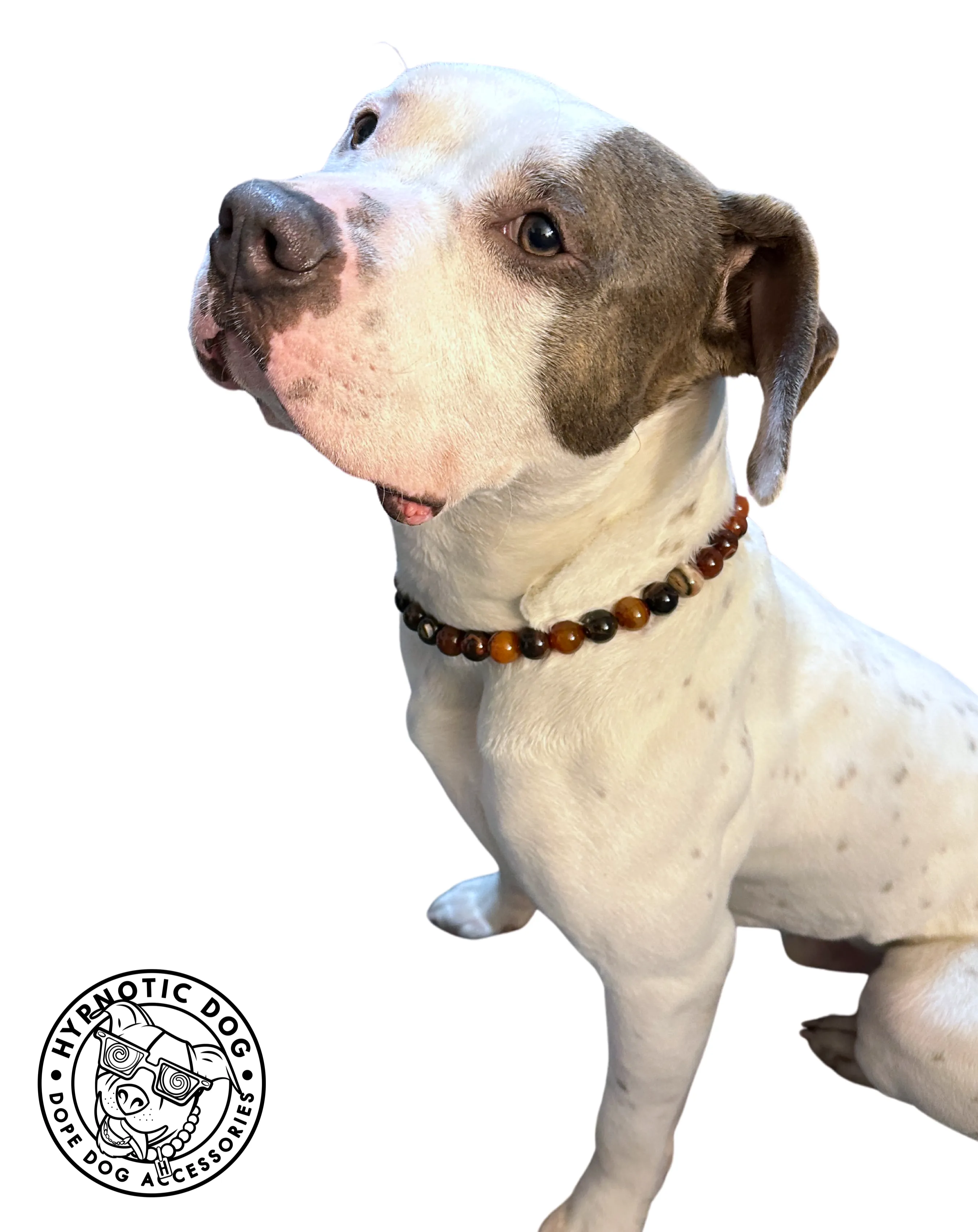 Mahogany Agate Semi-precious Gem Bead Collar