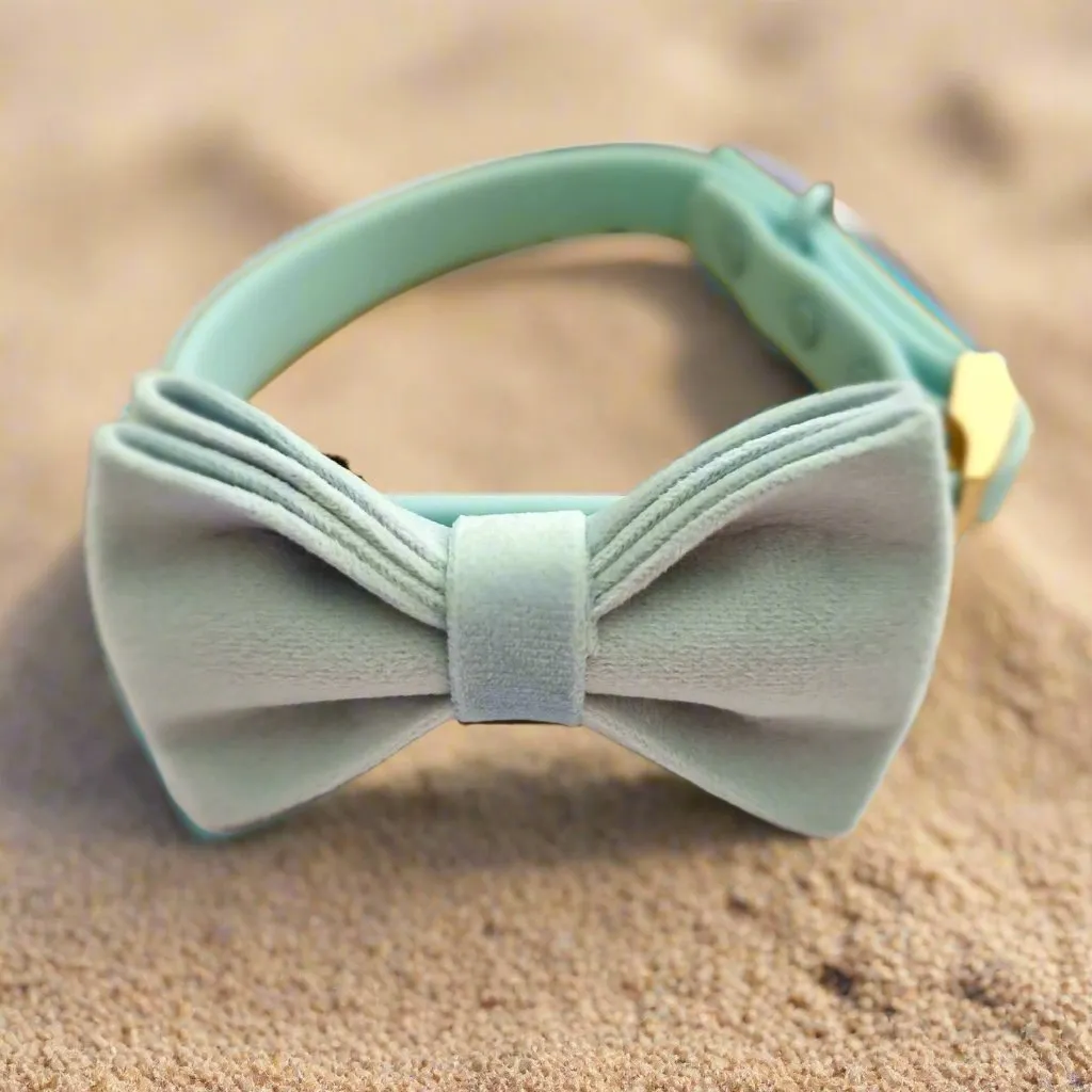 Marine blue waterproof dog collar - PVC