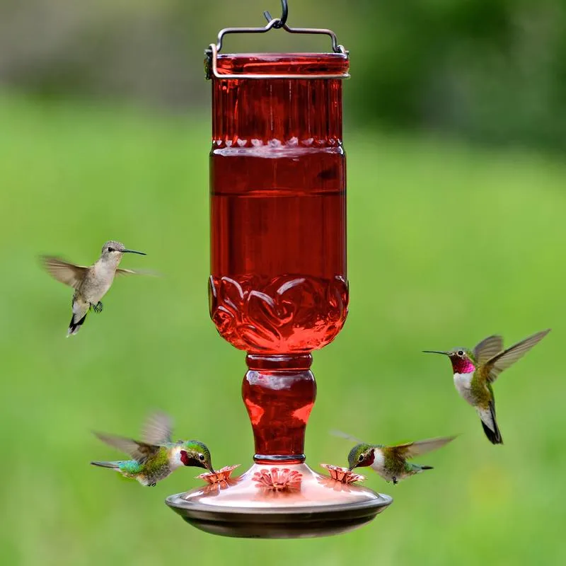 Perky-Pet Hummingbird 24 oz Glass/Metal/Plastic Nectar Feeder 4 ports