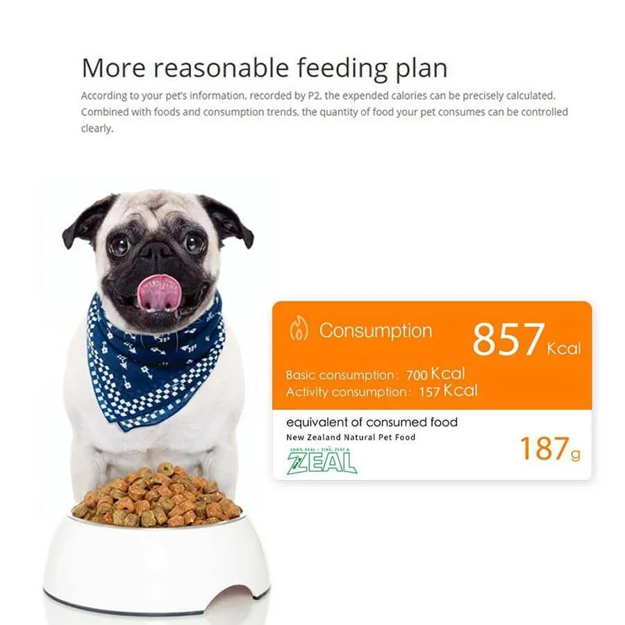 Petkit Fresh Smart Bowl Polka Dot
