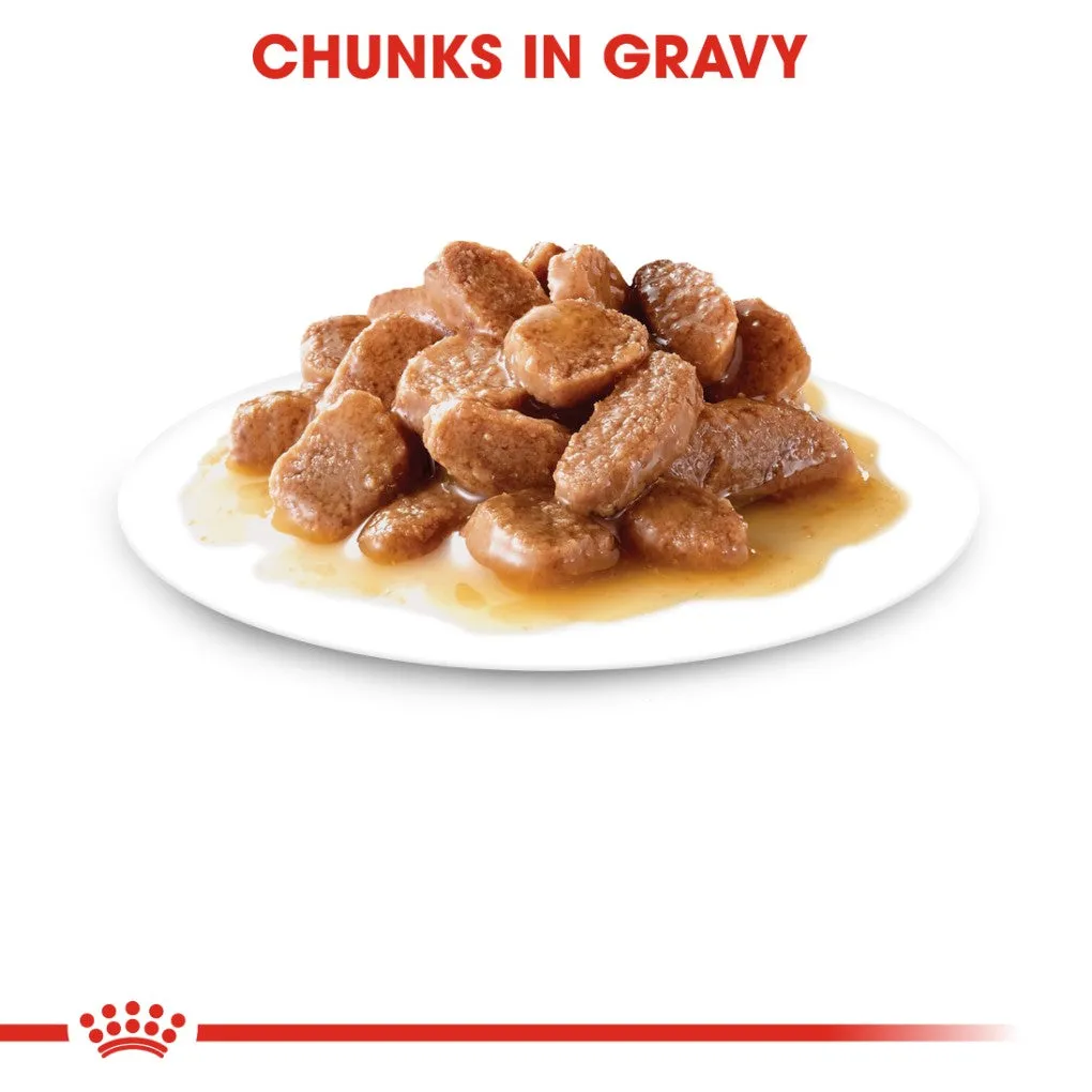Royal Canin Hairball Care Gravy Pouches