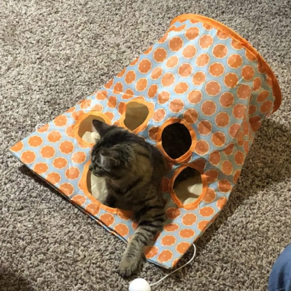 Steel Ring Cat Tunnel Toy