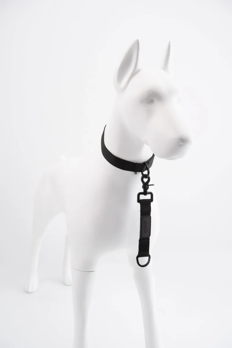 Tab Leash
