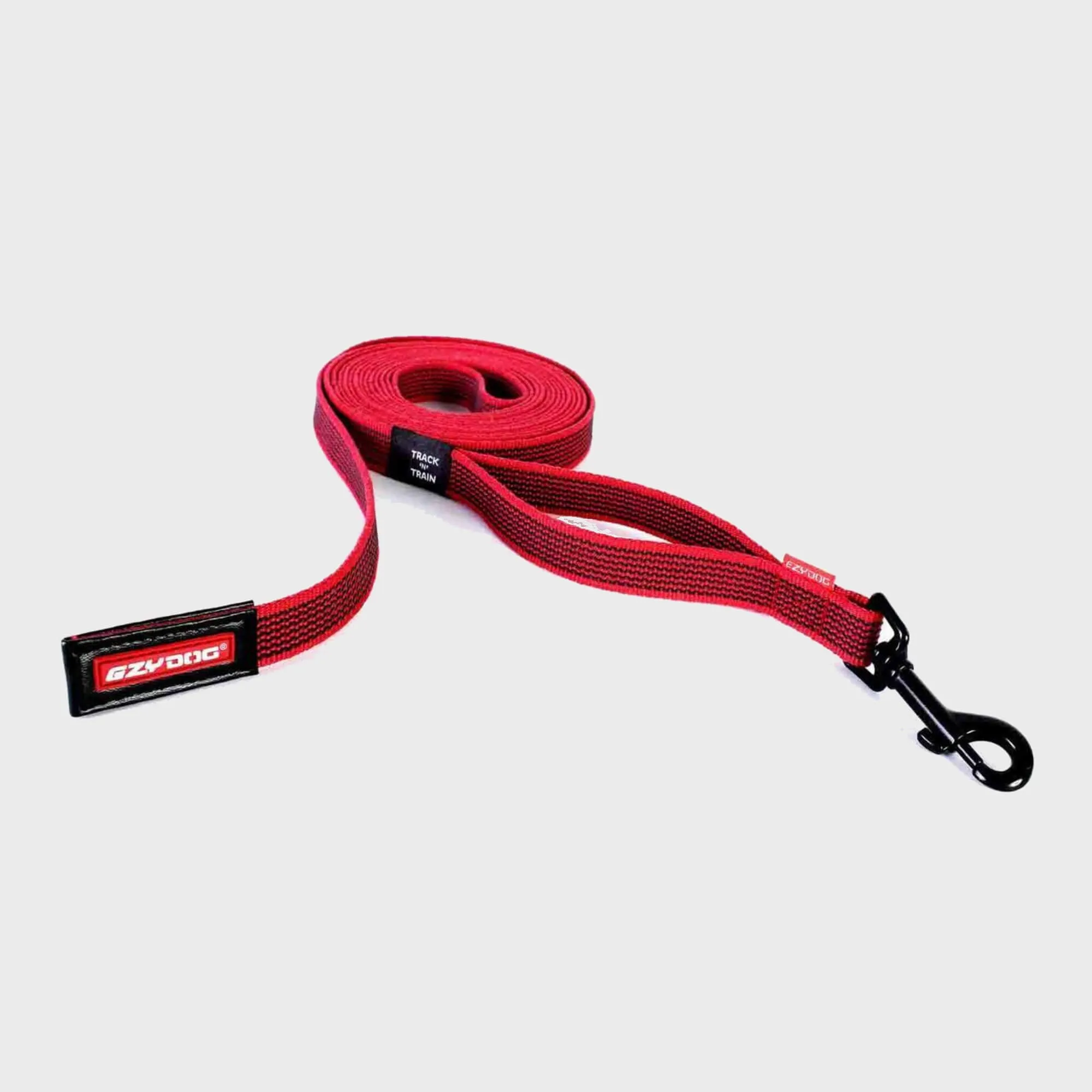 Track 'N' Train Leash