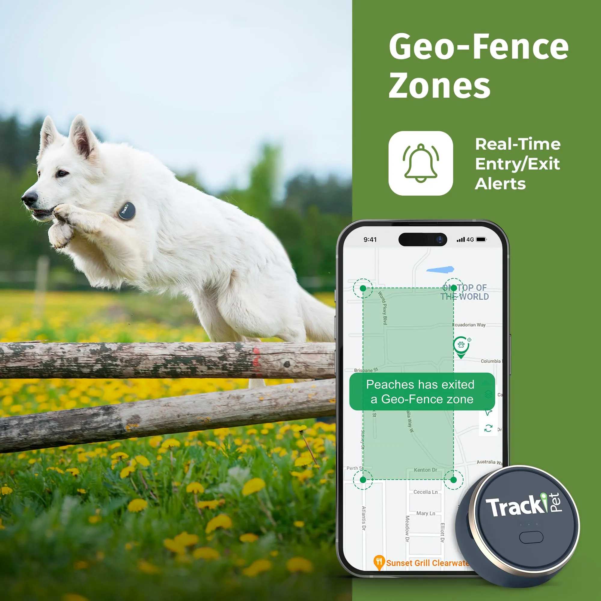 Trackipet 2024 4G Model Mini Pet GPS Tracker