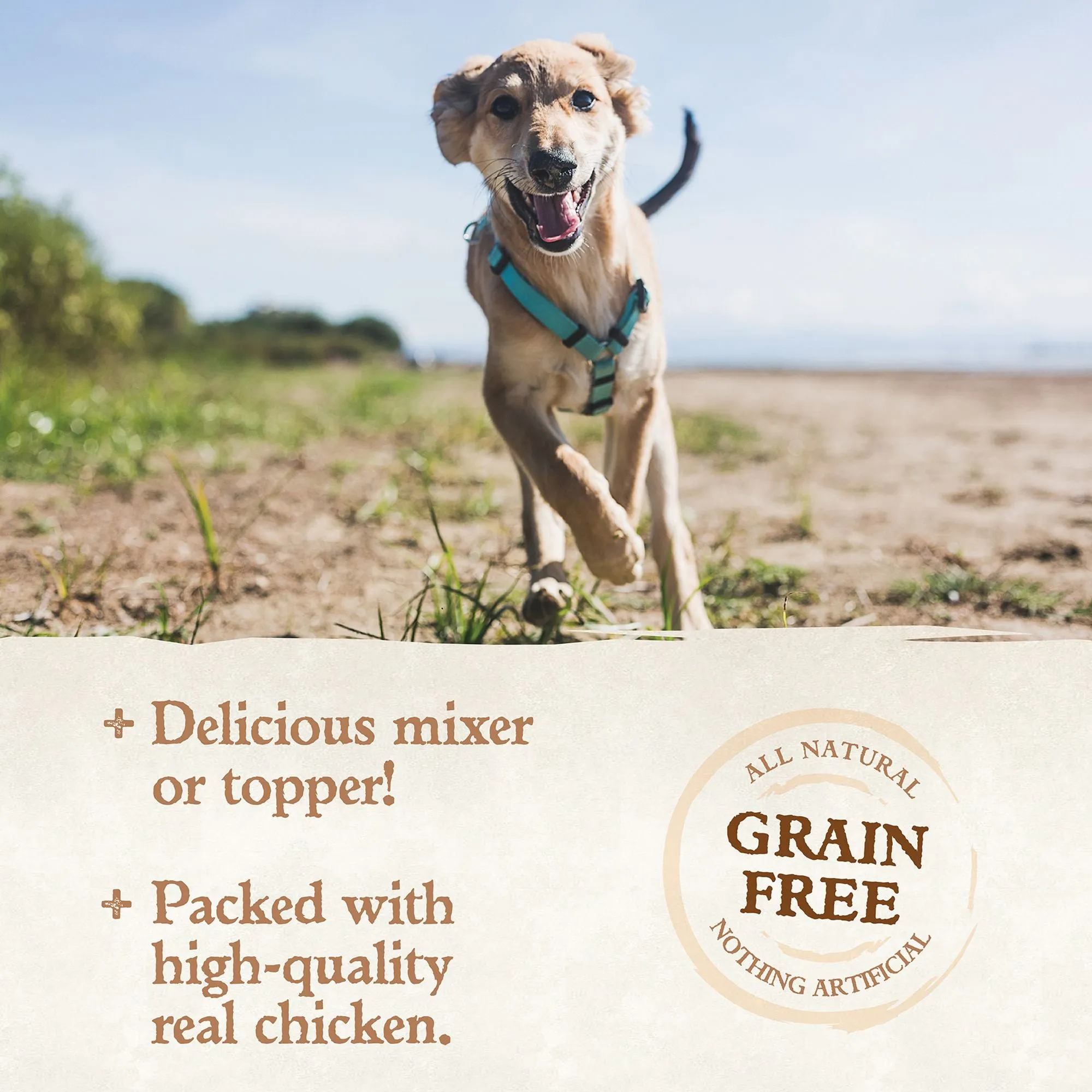 Wellness Ninety-Five Percent Chicken Canned Wet Dog Food  - 13.2 oz. - Natural, Grain Free