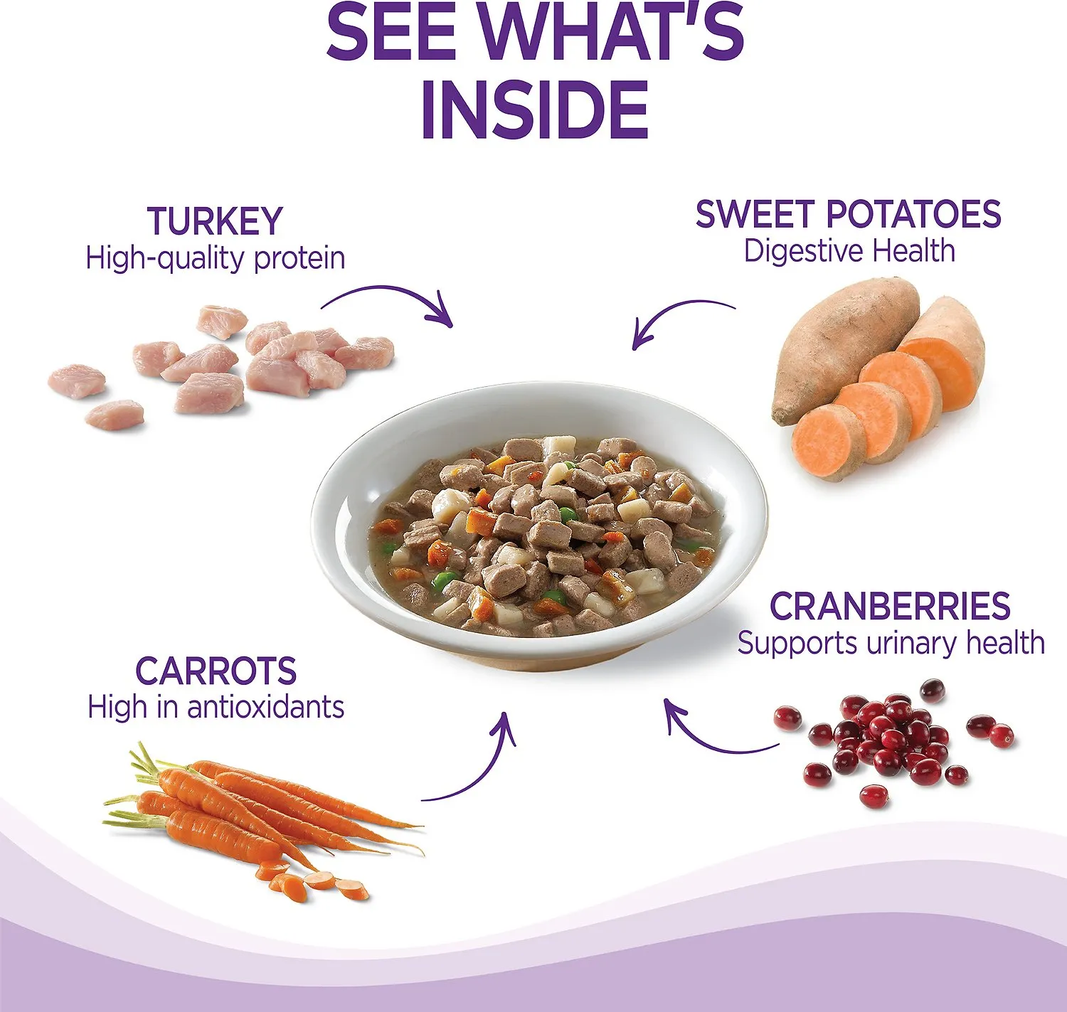 Wellness Turkey and Duck Stew with Sweet Potatoes and Cranberries Recipe Canned Wet Dog Food 12.5 OZ - Natural, Grain Free